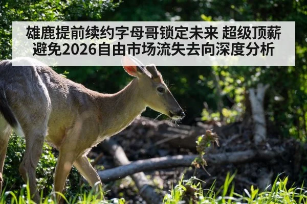 雄鹿提前续约字母哥锁定未来 超级顶薪避免2026自由市场流失去向深度分析