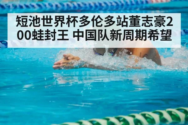 短池世界杯多伦多站董志豪200蛙封王 中国队新周期希望